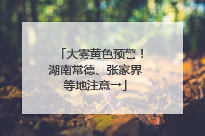 大雾黄色预警！湖南常德、张家界等地注意→